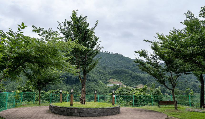 산책로